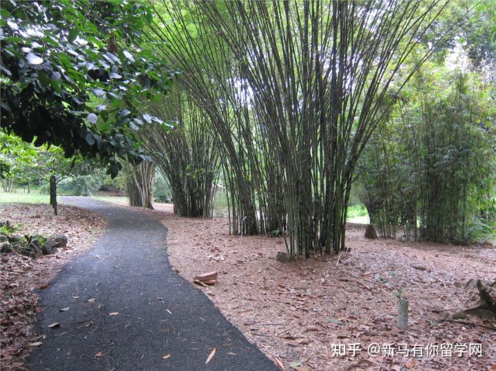 馬來亞大學(圖6) 馬來亞大學(圖6)